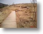 work way deck 000319.jpg